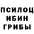 Галлюциногенные грибы ЛСД Dustin Cave