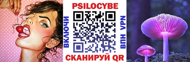 Псилоцибиновые грибы Cubensis  Купить закладки  Сунжа 